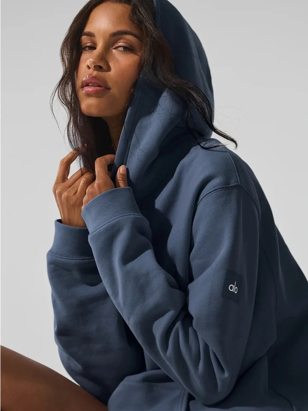 Renown Heavy Weight Hoodie